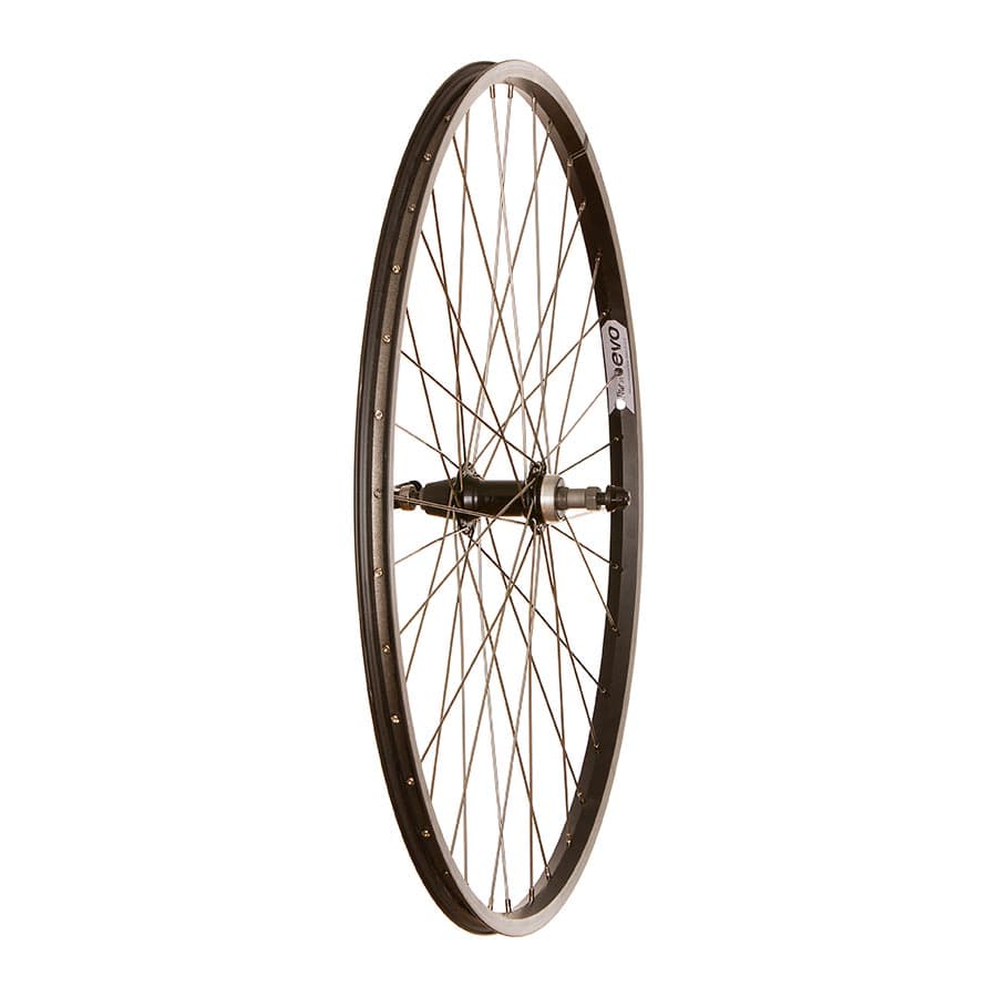 Wheel Shop, Evo Tour 20, Wheel, Rear, 700C / 622, Holes: 36, QR, 135mm, Rim, Shimano HG