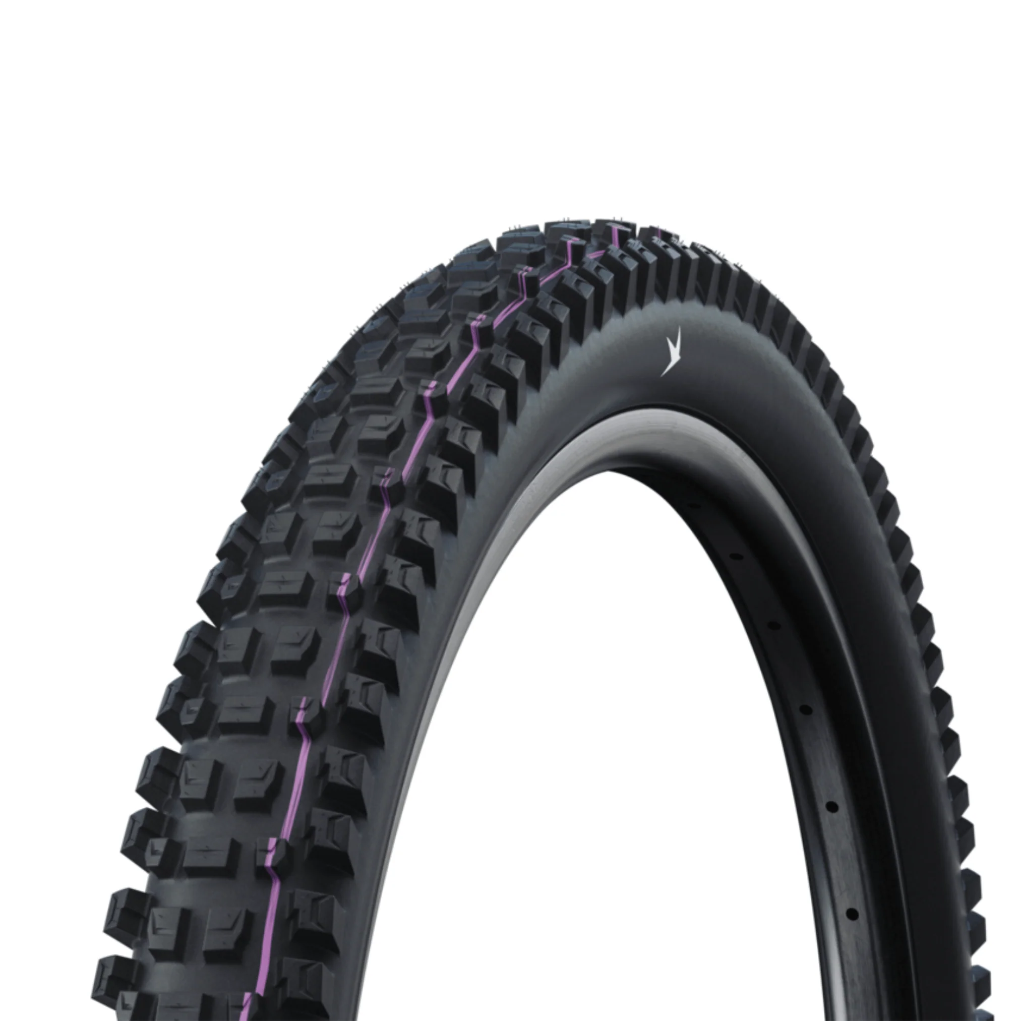 Schwalbe Albert Radial - Image 2