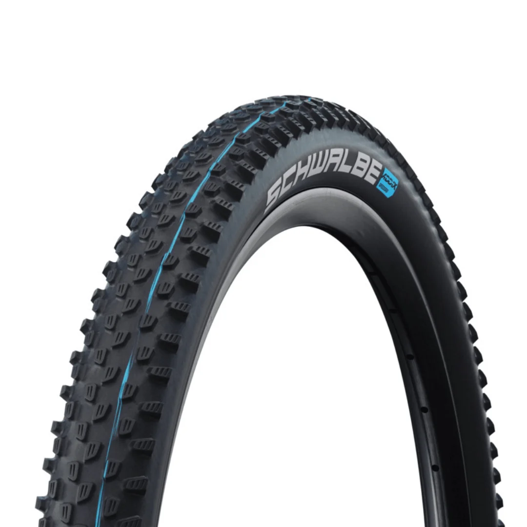 Schwalbe Racing Ray Super Ground Addix Speedgrip Black Tire