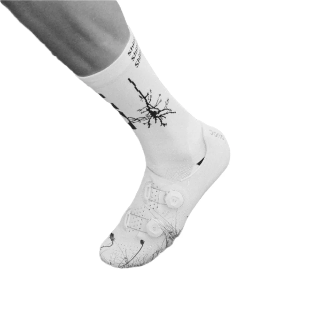 Shim's Ride Dendrite (knit) Sock - Image 2